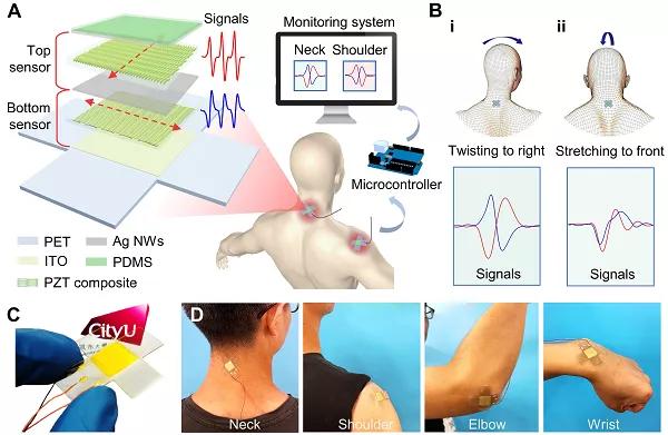 香港城大楊征保課題組Science子刊：一種新型柔性壓電陶瓷剪紙，用于預防關(guān)節(jié)疾病